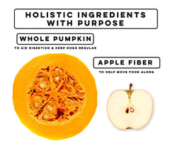 Nature's Diet pumpkin powder scoop demonstrates precise dosing for easy pet care.