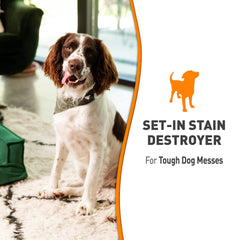 Nature's Miracle Set-In Stain Destroyer orange-scent bottle highlighting freshening effect.