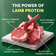 Nature's Protection small-bite kibble designed for tiny jaws and easier chewing