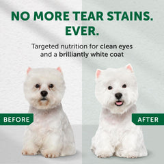 Nature's Protection small-breed kibble closeup highlights crunchy texture for dental care.