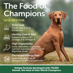 Nature's Protection Superior Care salmon bag shows premium protein for small dogs.