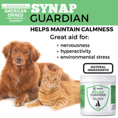 Dog and cat companions enjoying a relaxed moment with Synap Guardian