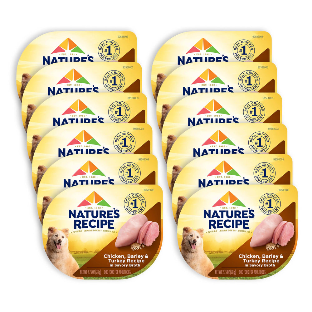 Nature’s Recipe chicken, barley & turkey wet dog food cups in savory broth for adult dogs