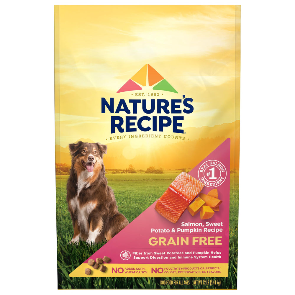 Nature's Recipe salmon-sweet-potato-pumpkin dry dog food bag front, grain-free formula for balanced meals.