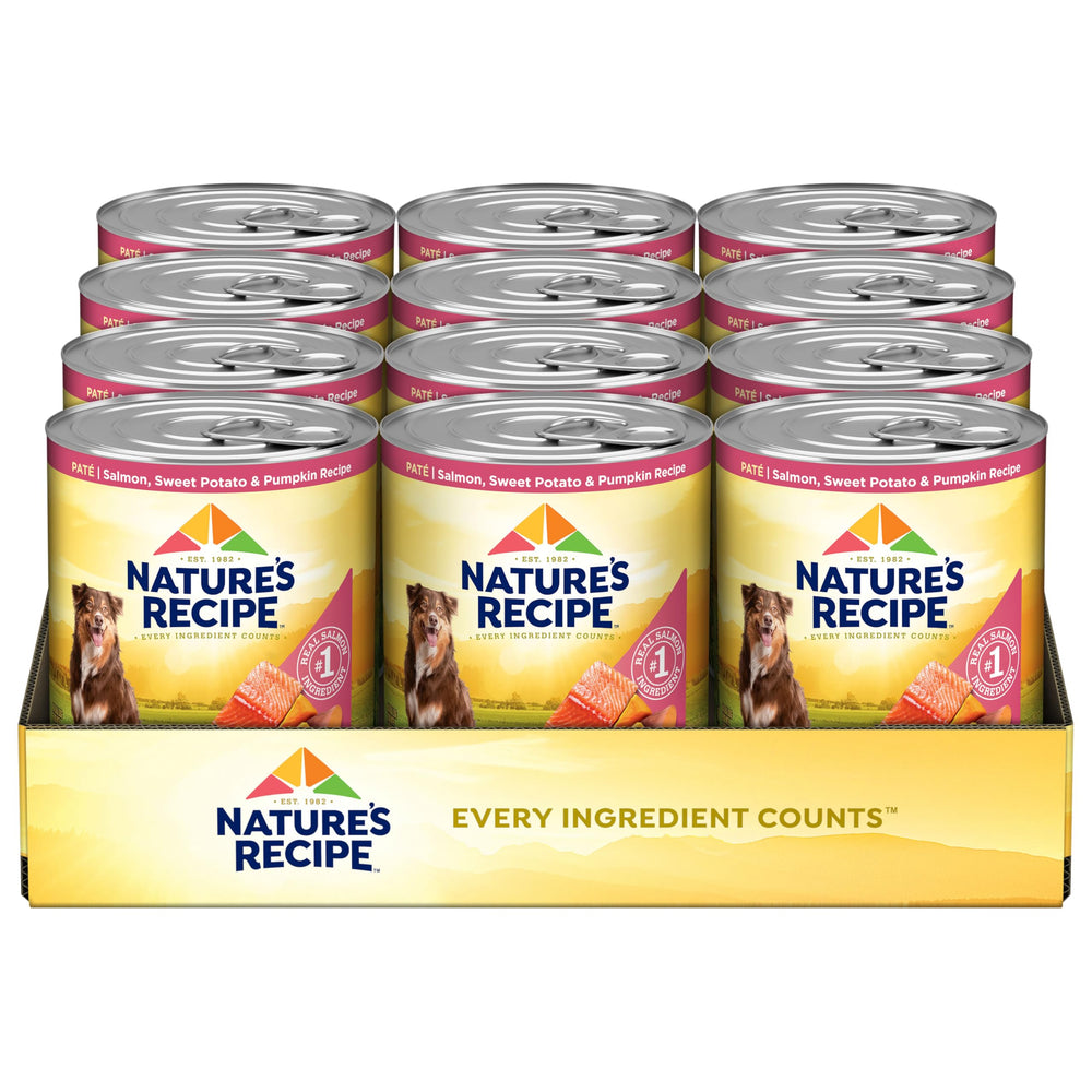 Nature's Recipe salmon-wet-dog-food can close-up highlights premium protein from real salmon