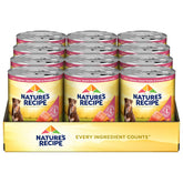 Nature's Recipe salmon-wet-dog-food can close-up highlights premium protein from real salmon