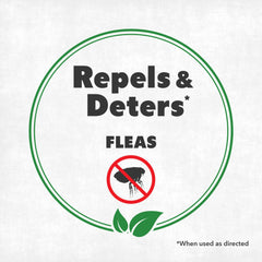 NatureStop Flea Spray demonstrates quick-action on carpet to reduce fleas