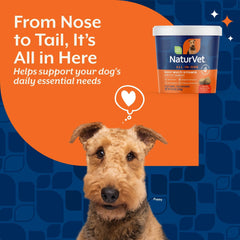 NaturVet All-in-One digestion probiotics chews to aid nutrient absorption.