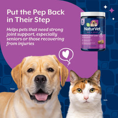 NaturVet ArthriSoothe-GOLD Level 3 ingredients panel highlights glucosamine and MSM.