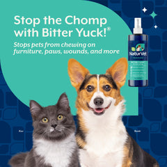 NaturVet Bitter Yuck spray near cat area helps reduce chewing temptations.