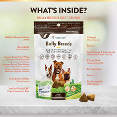 NaturVet Bulldog Breed Supplement digestive health supports a balanced gut.