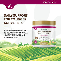 NaturVet Glucosamine DS Level 1 label emphasizes USA-made quality and antioxidant blend.