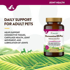 NaturVet Glucosamine DS Plus time-release tablets for ongoing joint support during daily activities.