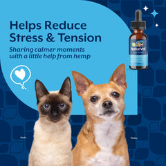 NaturVet Hemp Quiet Moments Drops measuring spoon for precise dosing.