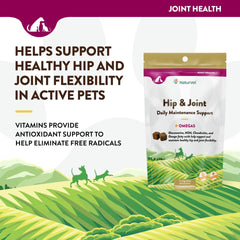 NaturVet hip and joint soft chew close-up texture indicates soft chew quality
