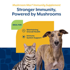 NaturVet Mushroom Max being offered to a dog to support daily immune function