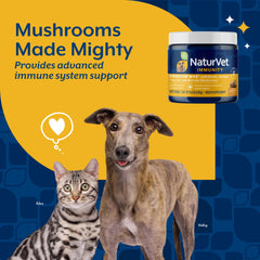NaturVet Mushroom Max ingredients reishi close-up emphasizes immune support.