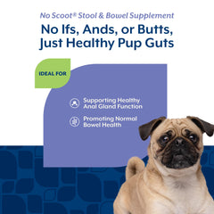 NaturVet No Scoot beet pulp psyllium: beet pulp and psyllium improve bowel regularity.