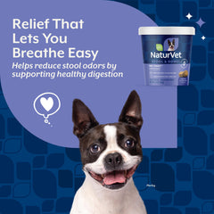 NaturVet No Toot Gas Aid Plus fennel dog treat serving on sample tray