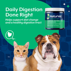 Pouring NaturVet powder into a bowl during mealtime for dogs.