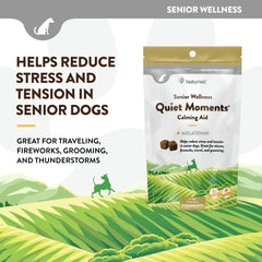 NaturVet Quiet Moments jar sealed for freshness, convenient calming aid for dogs.
