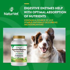 NaturVet Sensitive stomach aid for dogs in bowl setting.