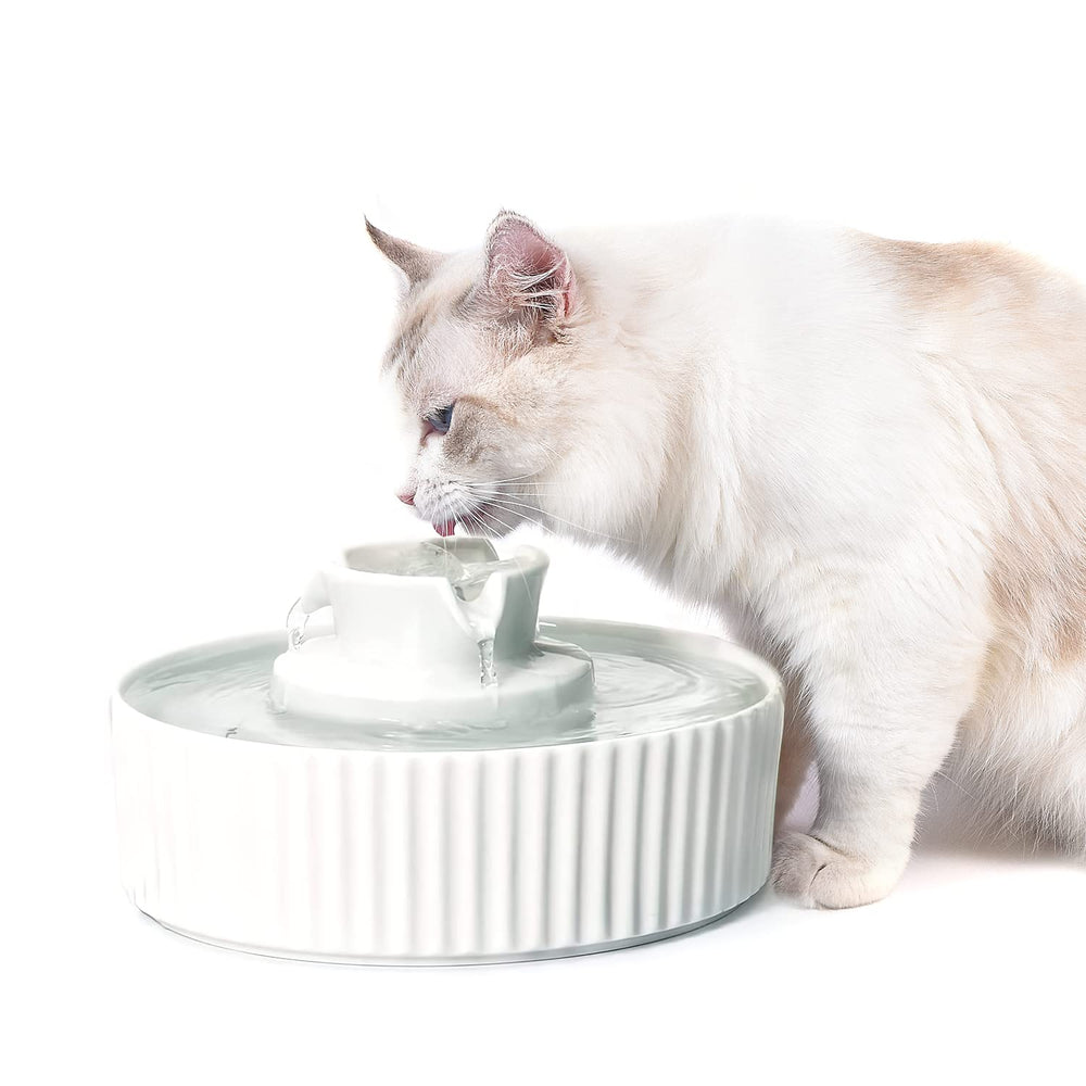 NautyPaws ceramic cat fountain top view showing clean drinking water