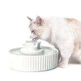 NautyPaws ceramic cat fountain top view showing clean drinking water