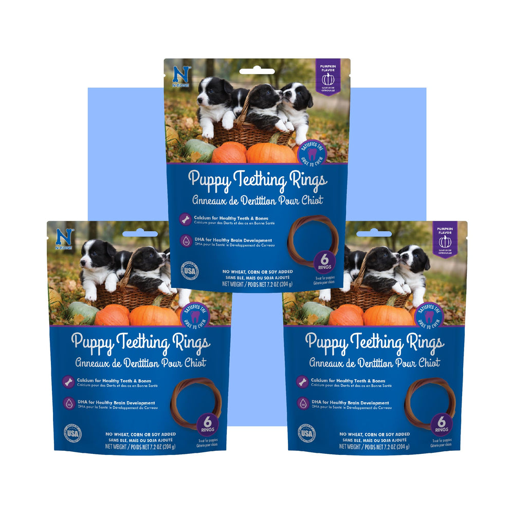 N-Bone Puppy Teething Rings pumpkin flavor round comforts teething gums