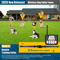NBSUN remote training panel managing up to four dogs with adjustable intensity.