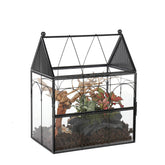 NCYP glass terrarium with front door for simple access and viewing.