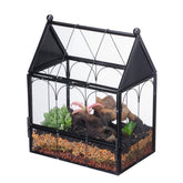 NCYP small glass terrarium front view for compact desktop display and airflow