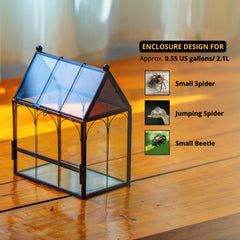 NCYP small glass terrarium angled side view highlights modern geometric design for small habitats