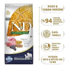 N&D Ancestral Lamb Spelt Oats close-up shows wholesome ingredients for adult dogs.