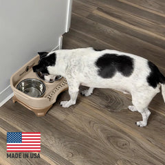Neater Feeder Express slow feeder bowl helps slow eating during feeding.