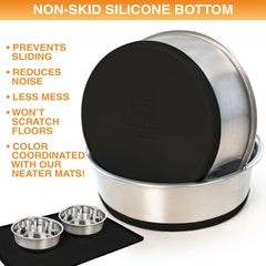 Neater Pet Brands 6-cup-48-oz-capacity bowl ideal for large dogs.