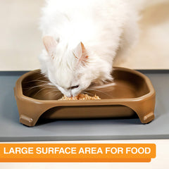 Neater Pet Brands bowl shows large surface area for pets