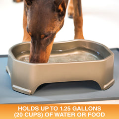 Neater Pet Brands no-spill design highlights high walls, preventing splashes