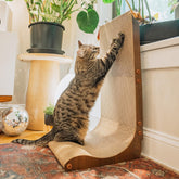 Necoichi wall-curved scratcher in dark cherry helps indoor cats stretch