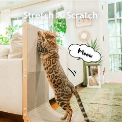 Necoichi reversible-scratch pad extends life and reduces waste
