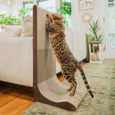 Necoichi Cardboard Scratcher Wall in dark cherry large protects furniture.