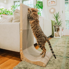 Necoichi cardboard scratcher wall in oak supports healthy scratching and furniture protection