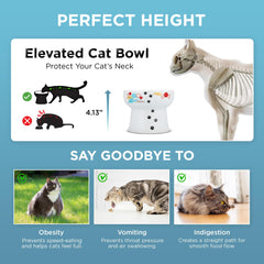 Necoichi elevated bowl features a non-slip ring to prevent spills.