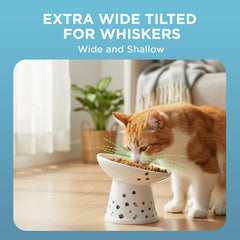 Tilted mealtime design by Necoichi promotes ergonomic dining posture for cats.