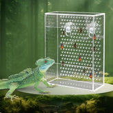 Neeenn Bearded Dragon Feeder Box front view, secure feeding in a tank.