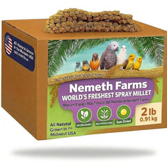 Nemeth Farms Spray Millet edible tops provide natural enrichment for birds.