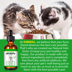 NenMaoKeNu cat antibiotics supplement pack for daily wellness