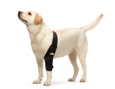 NeoAlly dog elbow brace left large close-up for joint support and comfort.