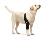 NeoAlly dog elbow brace on the right leg provides secure support during activity.