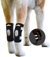 NeoAlly dog hock brace pair on hind legs providing stability